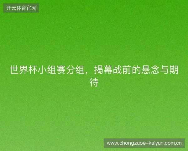 世界杯小组赛分组,揭幕战前的悬念与期待 世界杯小组赛分组,揭幕战前的悬念与期待